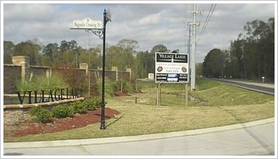 Central Village Lakes Baton Rouge Real Estate